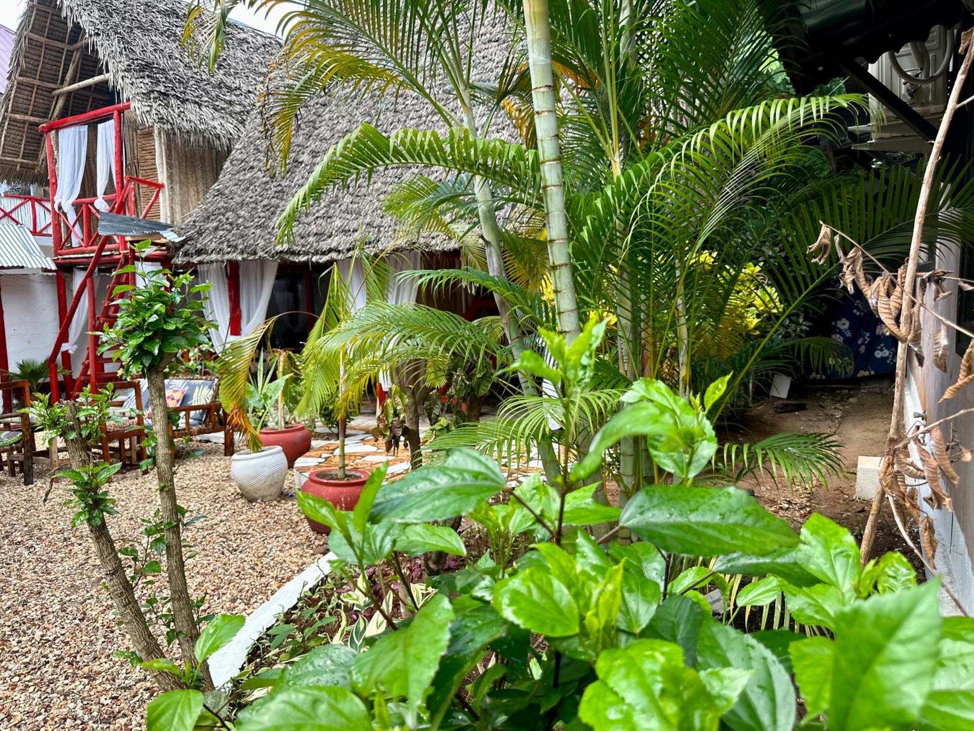 Pole Pole House Hotel Nungwi Bagian luar foto
